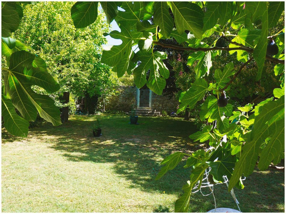 Chambre D'Hote La Romaine Vaison-la-Romaine Exterior photo